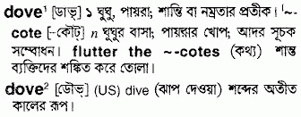 Dove meaning in bengali