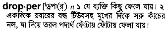 dropper 
 meaning in bengali