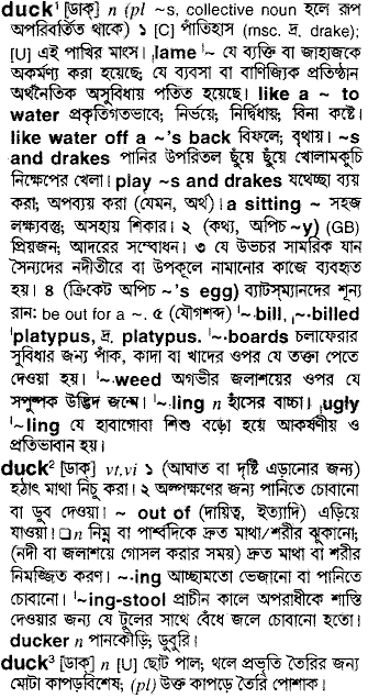 Duck meaning in bengali