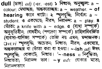 Dull meaning in bengali