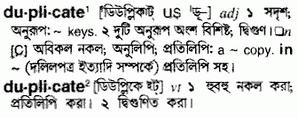 Duplicate meaning in bengali