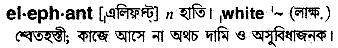 Elephant meaning in bengali