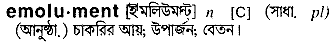 Emolument meaning in bengali