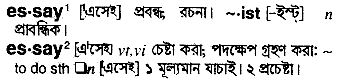 Essay meaning in bengali