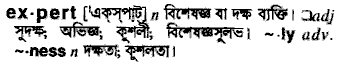 Expert meaning in bengali