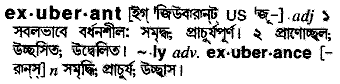 Exuberant meaning in bengali