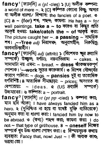 Fancy meaning in bengali