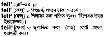 Fell meaning in bengali