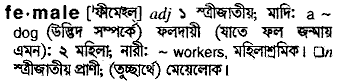 Female meaning in bengali