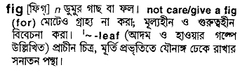 Fig meaning in bengali