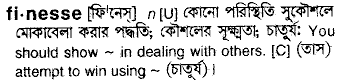 Finesse meaning in bengali