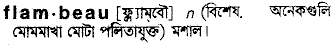 Flambeau meaning in bengali