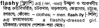 Flashy meaning in bengali