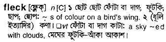 Fleck meaning in bengali