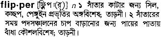 Flipper meaning in bengali