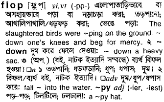 Flop meaning in bengali