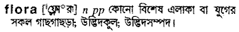 Flora meaning in bengali