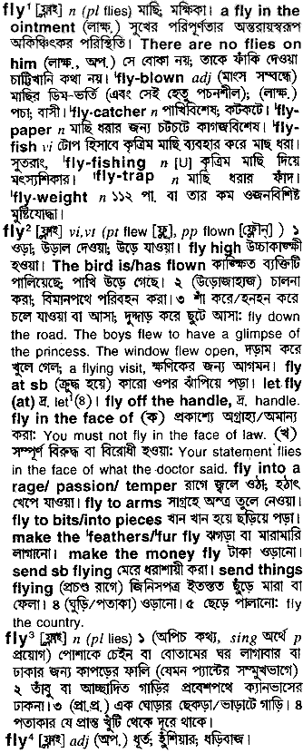 Fly meaning in bengali