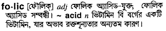 folic 
 meaning in bengali