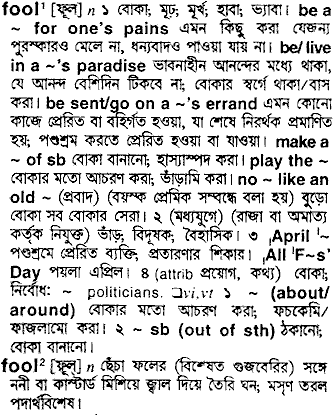 Fool meaning in bengali