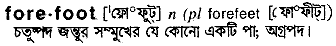 forefoot 
 meaning in bengali