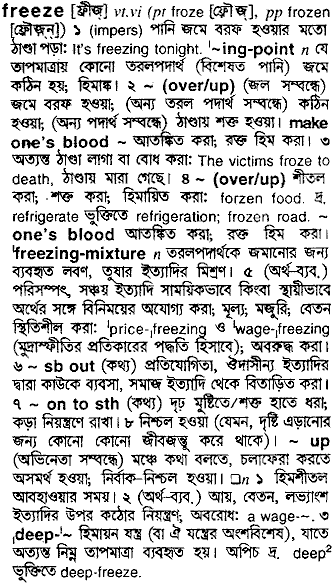 Freeze meaning in bengali