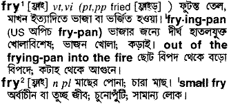 Fry meaning in bengali