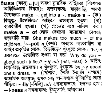 Fuss meaning in bengali