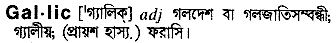 gallic 
 meaning in bengali