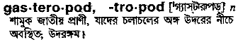 gastropod 
 meaning in bengali