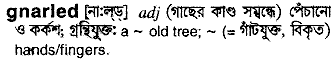 gnarled 
 meaning in bengali