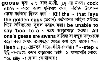 Goose meaning in bengali