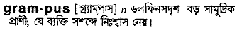 grampus 
 meaning in bengali