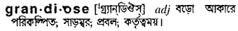 Grandiose meaning in bengali