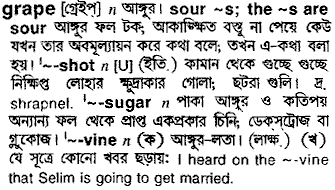 Grape meaning in bengali