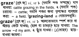 Graze meaning in bengali