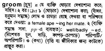 Groom meaning in bengali