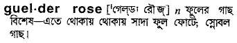 guelder rose 
 meaning in bengali