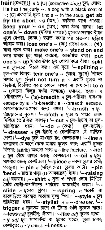 Hair meaning in bengali