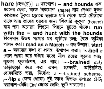 Hare meaning in bengali