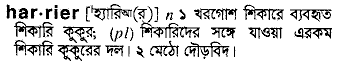 Harrier meaning in bengali