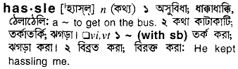 Hassle meaning in bengali