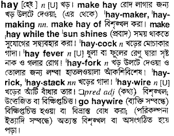 Hay meaning in bengali