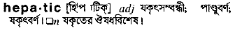 Hepatic meaning in bengali