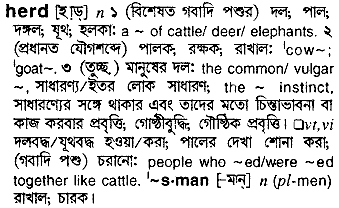 Herd meaning in bengali