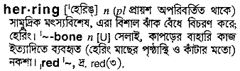 herring 
 meaning in bengali