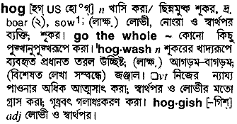 Hog meaning in bengali