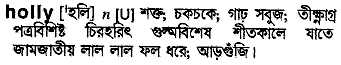 Holly meaning in bengali