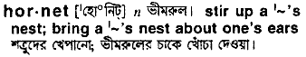 Hornet meaning in bengali