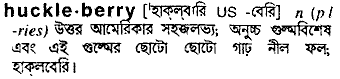 huckleberry 
 meaning in bengali